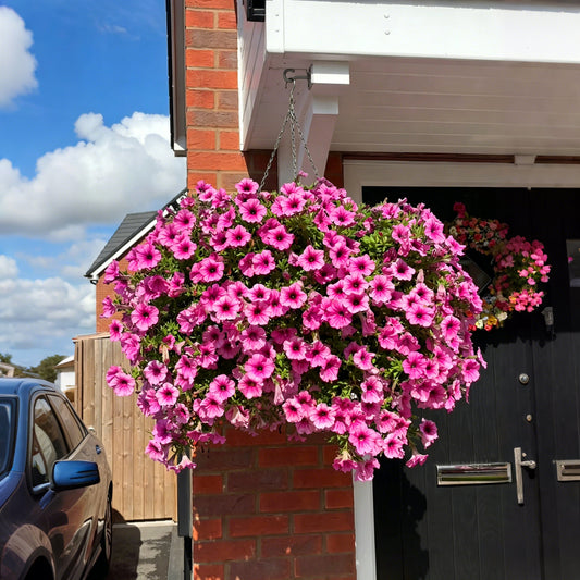 💥Last Day 60% OFF💥UV Resistant Artificial Petunias Flowers