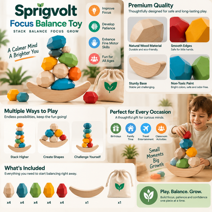 Sprigvolt Focus Balance Toy