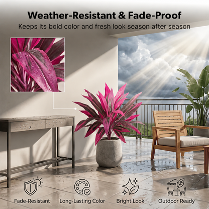 🎁  Last Day 60% OFF - Artificial Boston Fern & Dragon's Blood Tree Plants